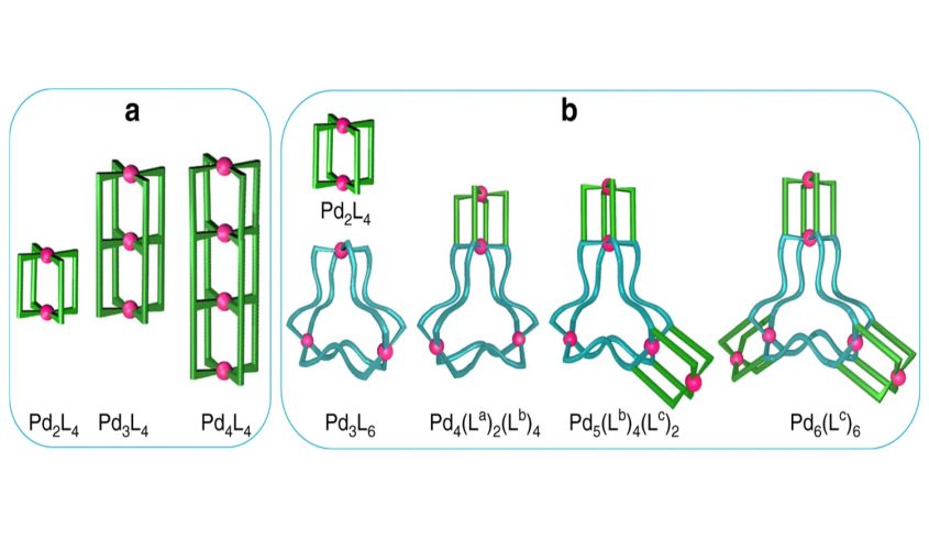 Cracking the Nature’s code of self -assembly – IITM TECH TALK