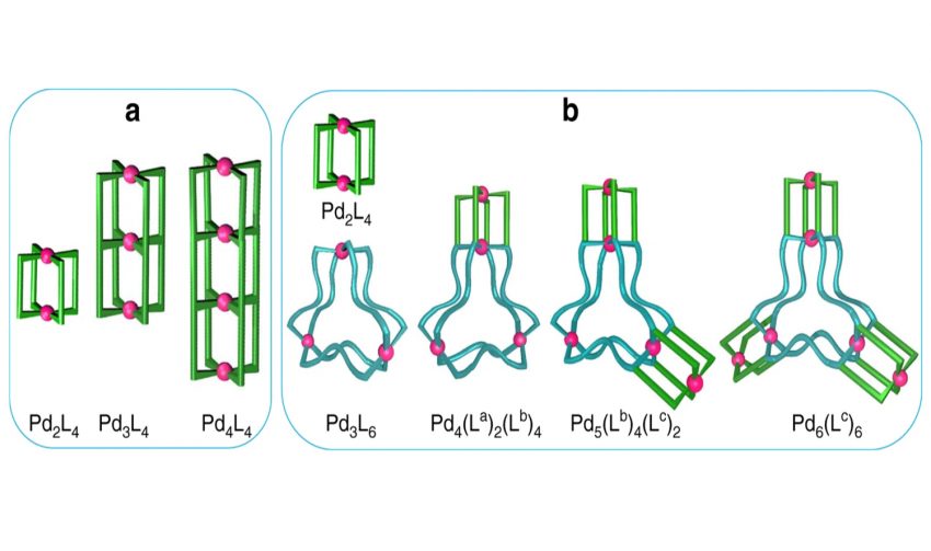 Cracking the Nature’s code of self -assembly – IITM TECH TALK