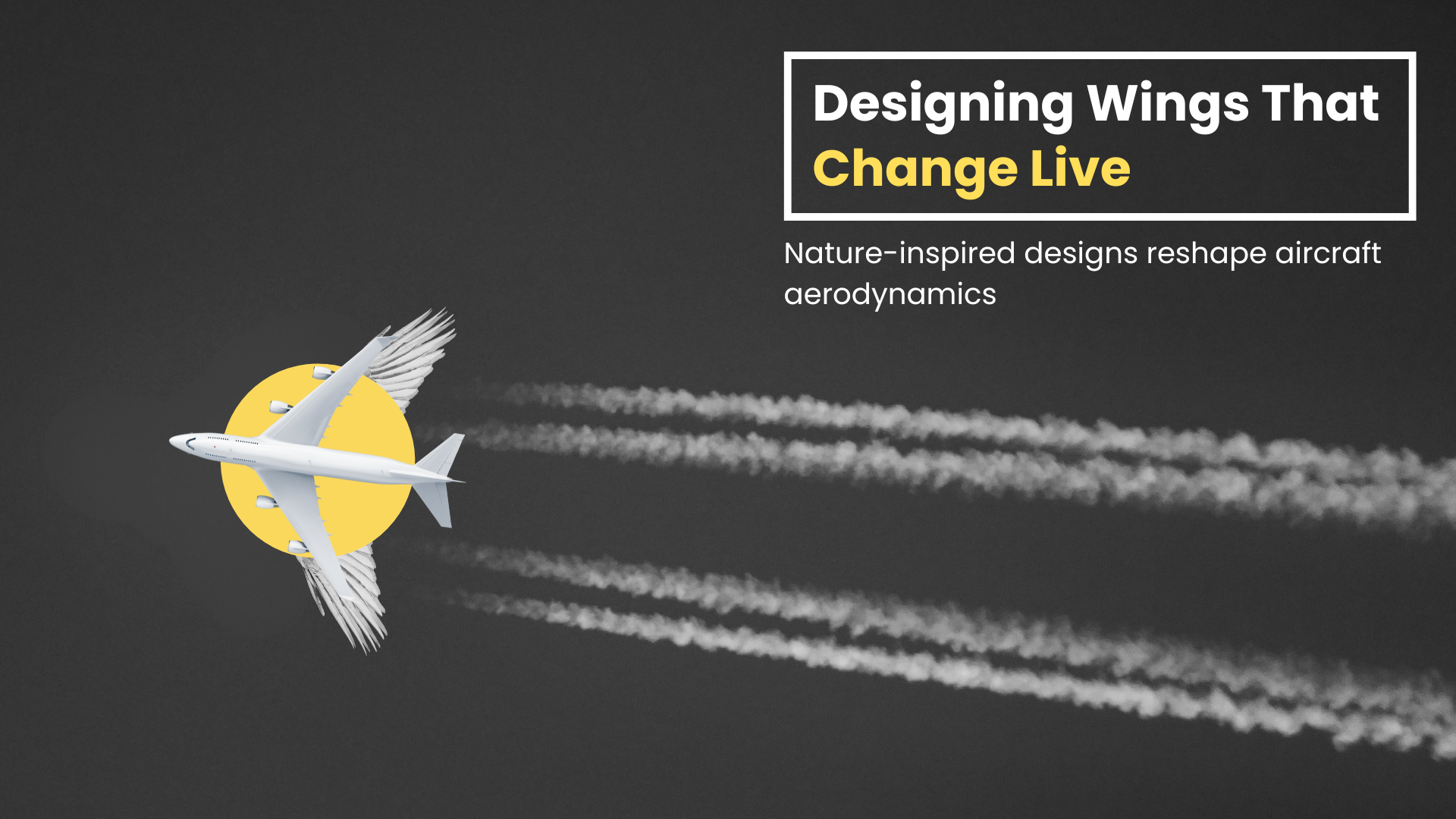 “Morphed” Bird Catches the Air