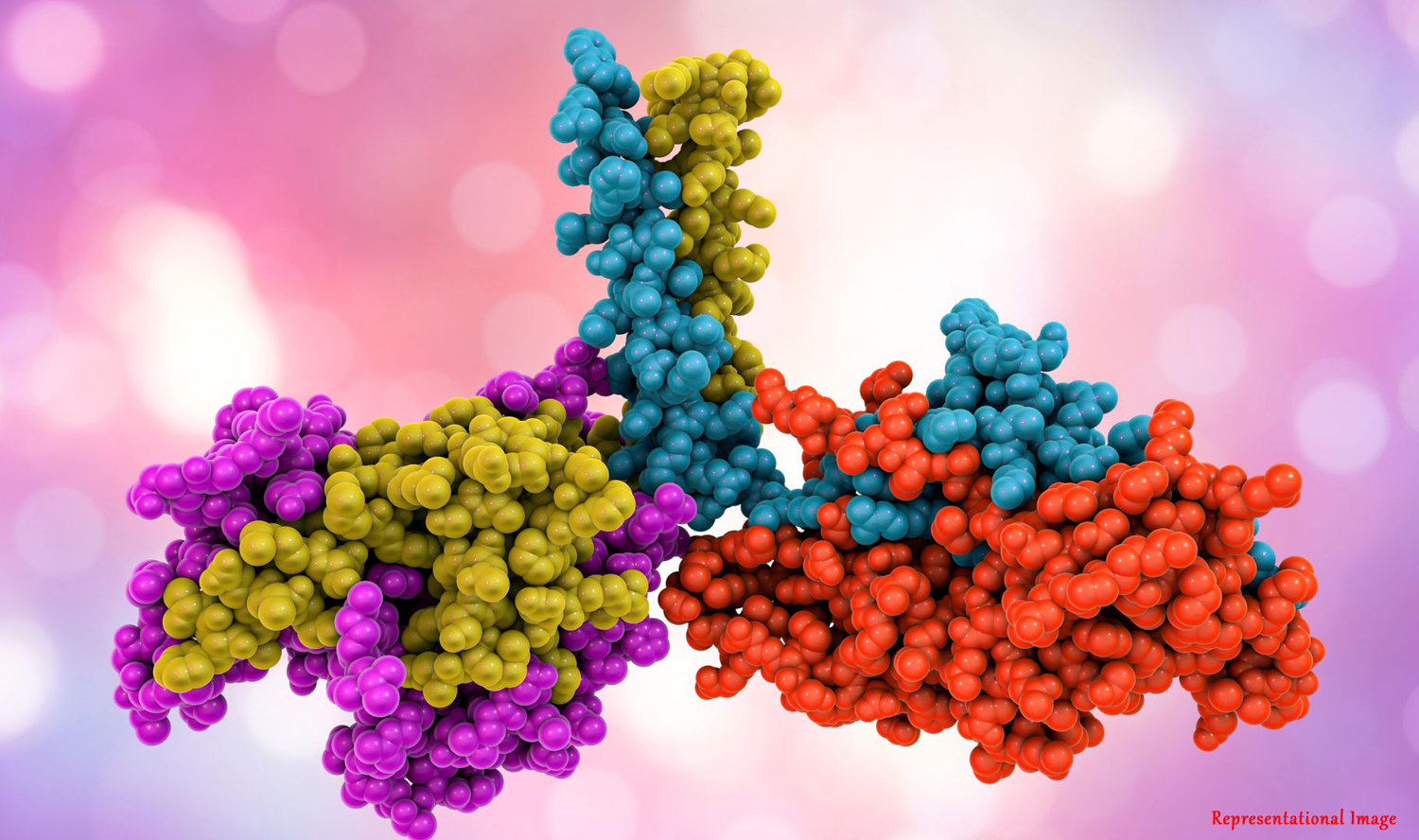 An Intelligent Method to Detect the Effect of Mutations