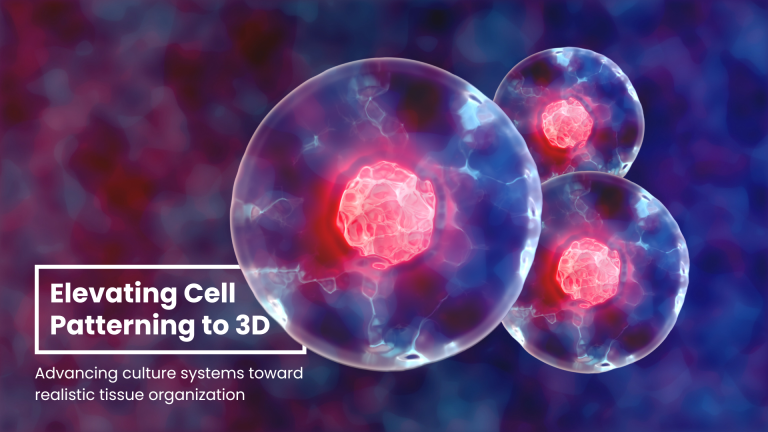 From 2D to 3D Cell Patterning – IITM TECH TALK